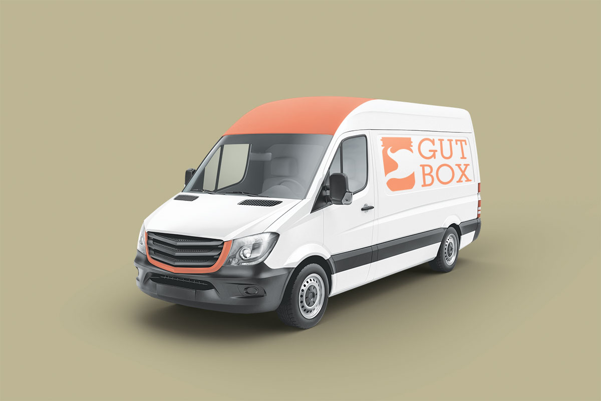 Gut Box packaging mockup
