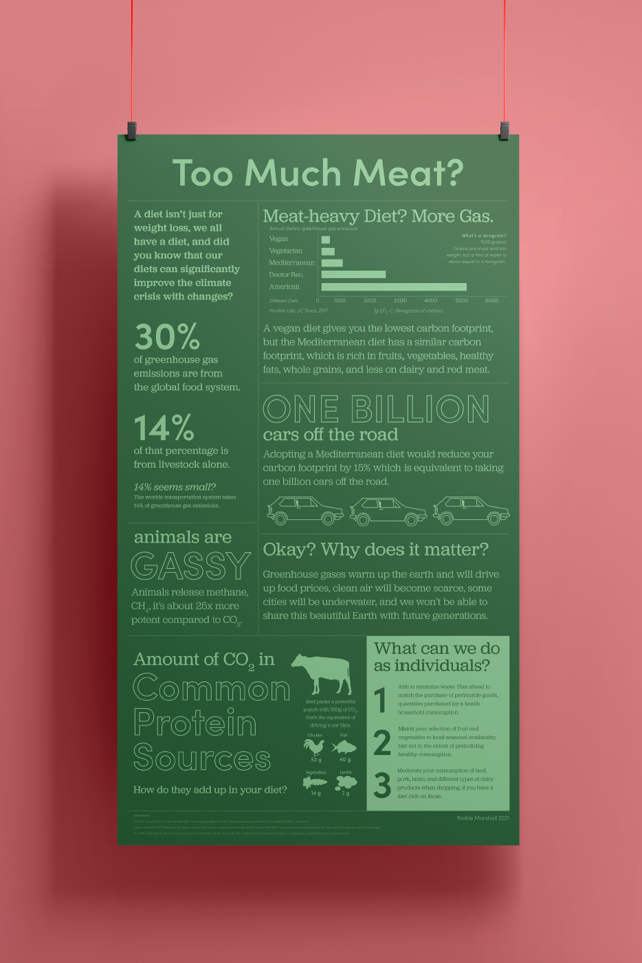 Photo of Too Much Meat Infographic hanging up