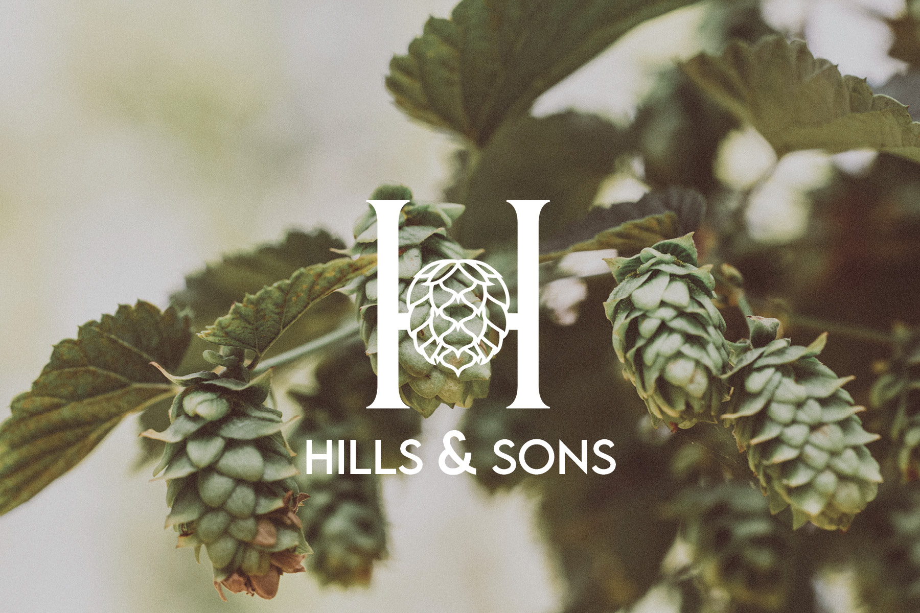 Hills and Sons Header